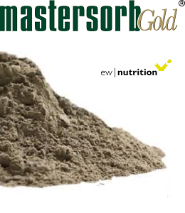 Mastersorb Gold Mastersorb Gold